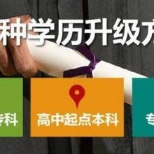 成都市金牌思維教育咨詢有限責(zé)任公司 專業(yè)教育咨詢，點(diǎn)亮成長之路