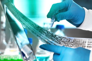 2019年，教育咨詢服務(wù)公司經(jīng)營范圍的“黃金寫法”，讓你賺翻的秘訣